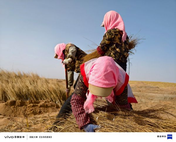 三十载热爱同行  vivo Vision 发布会暨影像盛典盛大举办(图13)