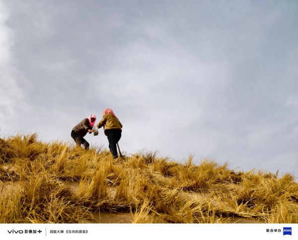三十载热爱同行  vivo Vision 发布会暨影像盛典盛大举办(图14)